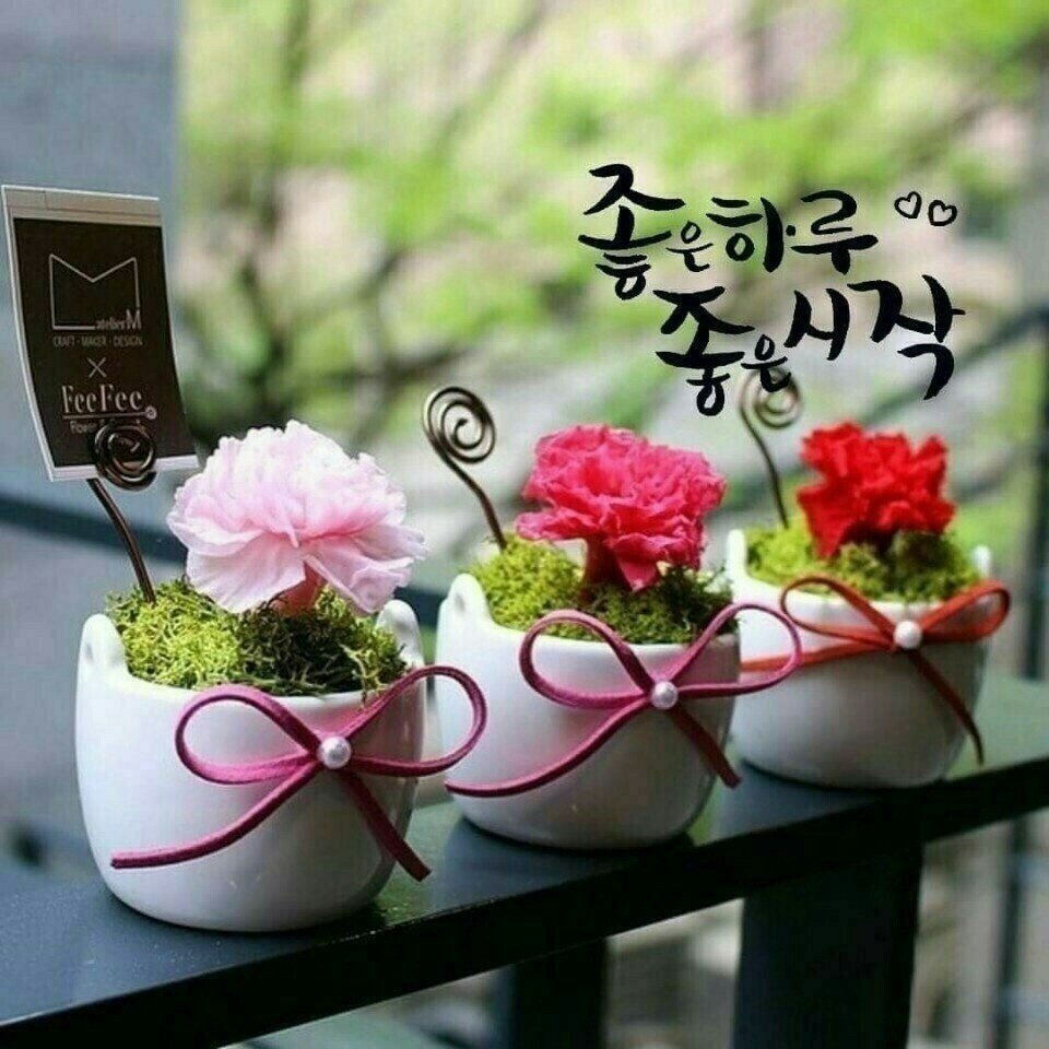 인생
긴것 같지만

단지 하루씩
눈을 감았다가 
떴을 뿐인데

어느세 늙어있고
어느날 가게되는 날 온다

절은 날엔
인생이 길게만 느껴졌는데

금세 사라지고

나이는 남들만 먹는줄 알았는데
어느날 늙어있고

살아온 세월을 돌아보면
정말 금방이다

사는날 까지
즐겁게 웃고 행복하게 살아가자.🖋