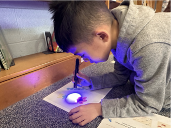 Science Engineering Education Development (SEED) tweet media