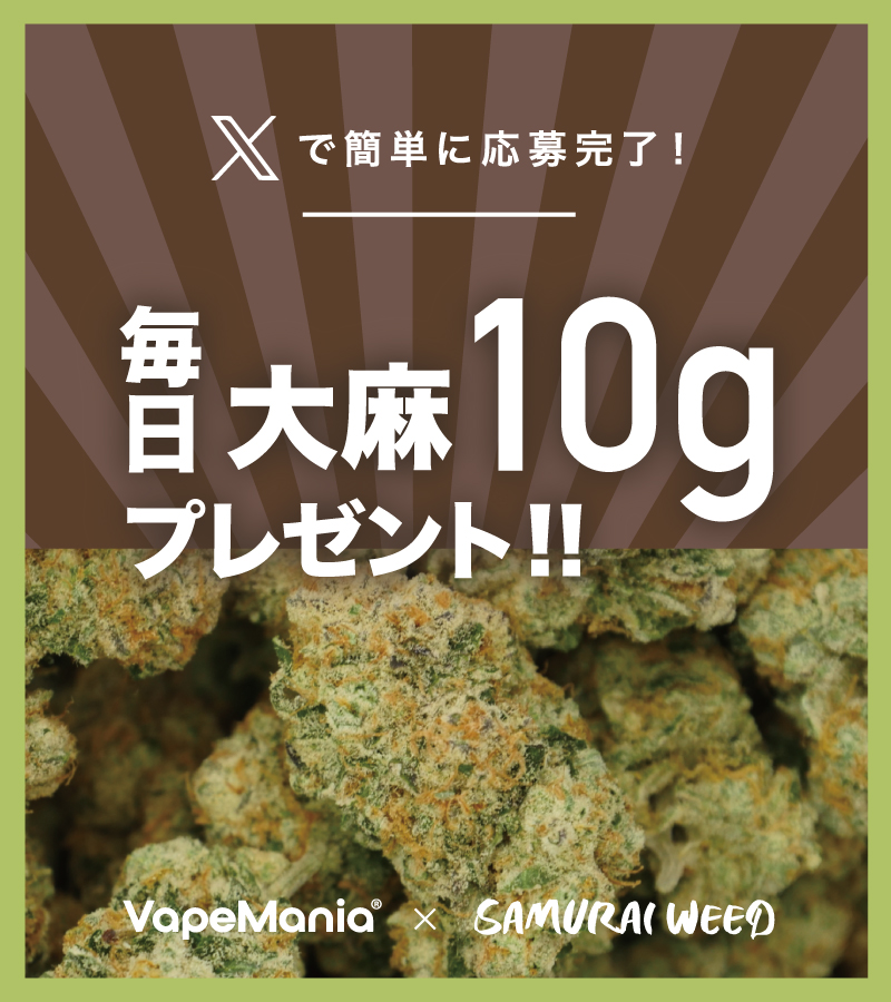 ／
SAMURAI WEED × Vapemania®︎
総額100万円の10日連続キャンペーン！
＼

【1️⃣日目】夢のタイ旅行プレゼント！

タイ往復航空券 × 1名様
SAMURAI WEED 10g × 1名様

［今すぐ応募！］
　　　∨
　　　∨
🌿応募方法🌿
1️⃣このツイートをRT + いいね
2️⃣<a href="/samuraiweedth/">SAMURAI WEED</a> <a href="/VapeManiaThai/">VapeMania®︎🇹🇭Thailand</a> をフォロー