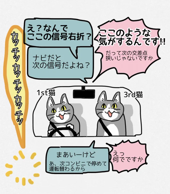 根拠なく何よりも自分の直感を信じている(が大抵間違っている)1st猫。 