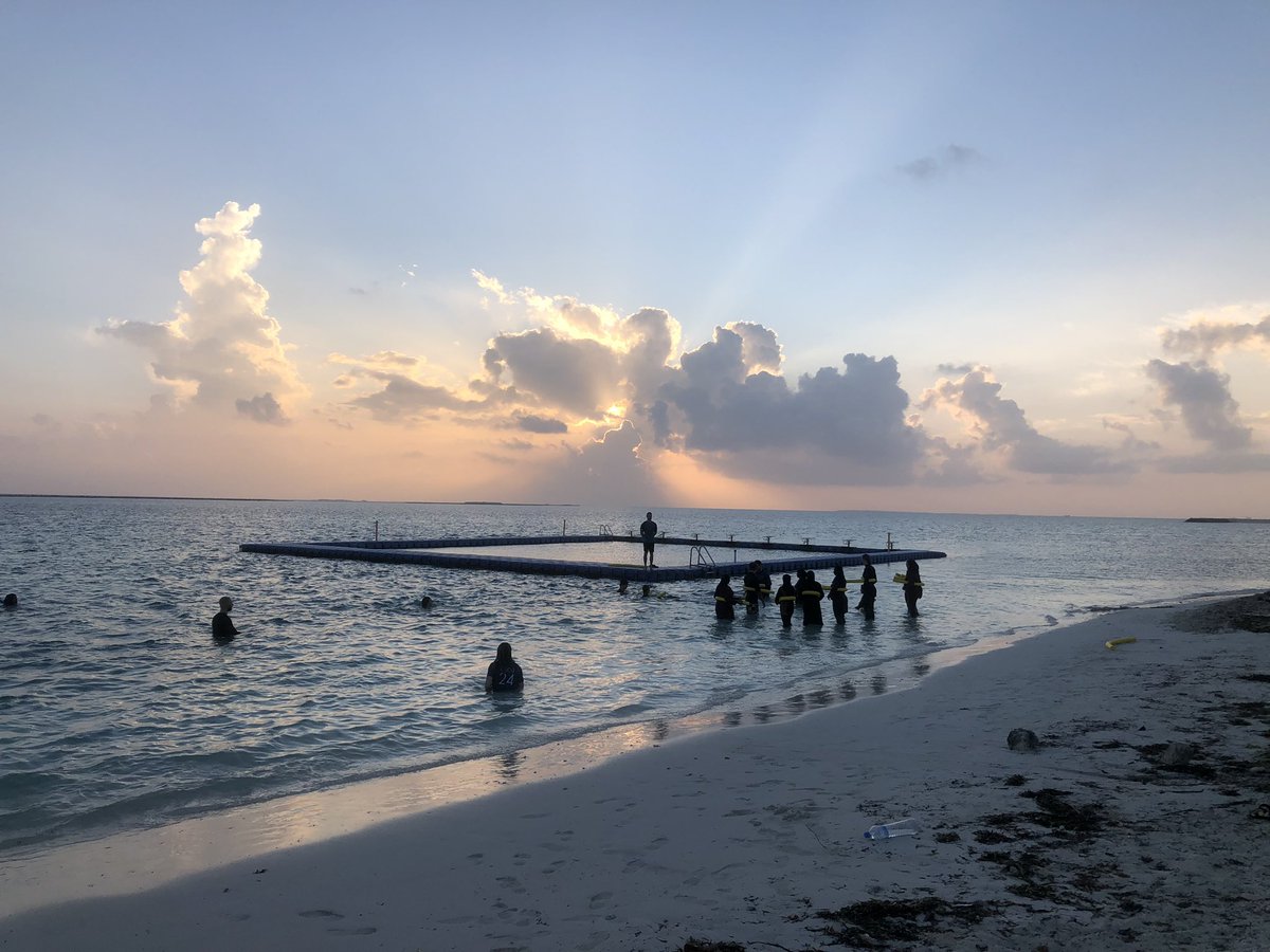 MickleKaren's tweet photo. Each morning at 6am our @UON_ExSportSci students are delivering water based exercises to the community in Hithadoo. Despite living on an island, most (particularly women) don’t learn how to swim.
#exerciseforeveryone #sportsscience #Maldives @Uni_Newcastle @NewColomboPlan https://t.co/NZETmwD9NG