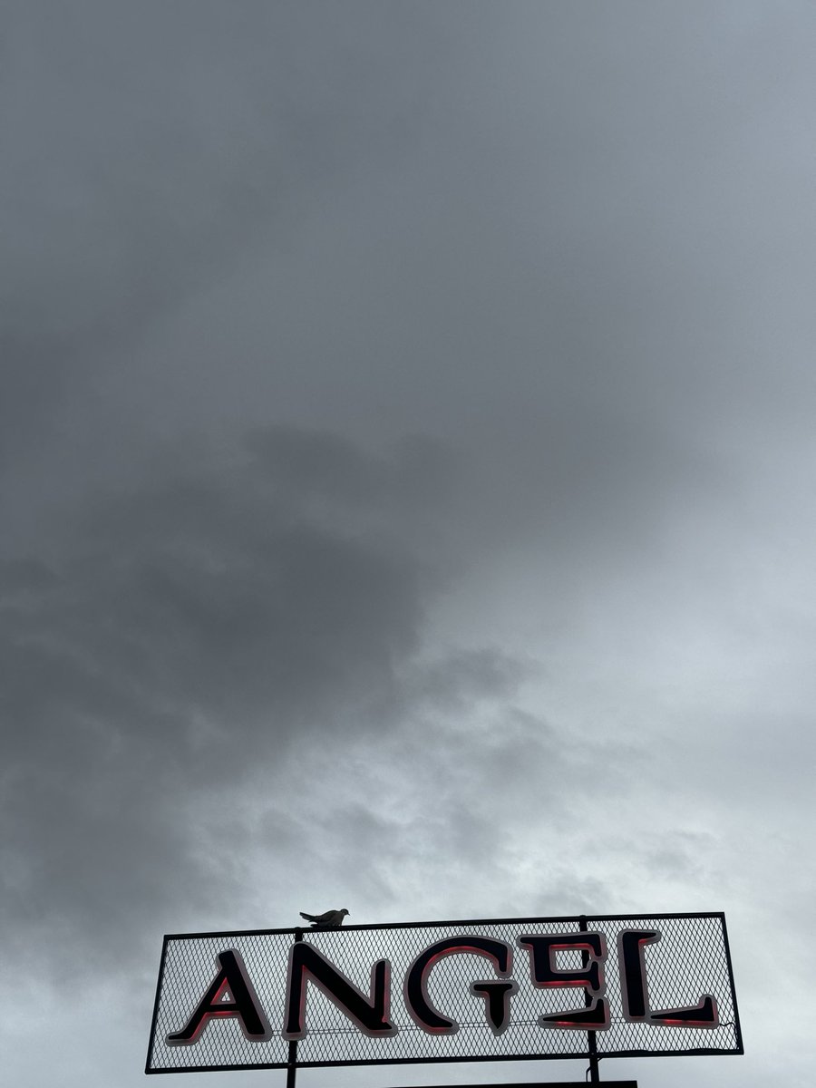 Tanrı melek göndermiş😇