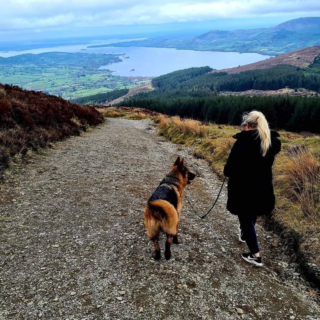 Walks with best friends 🫶🐶 Save this post for your next walk! ⛰️The Ballyhoura Way 🥾The Cavan Way 🌳 Derrycassinn Woods A reminder to keep your companions on a lead at all times while out for a walk! 🐕‍🦺 📸 aislingkeogh1 [IG] #KeepDiscovering #IrelandsHiddenHeartlands