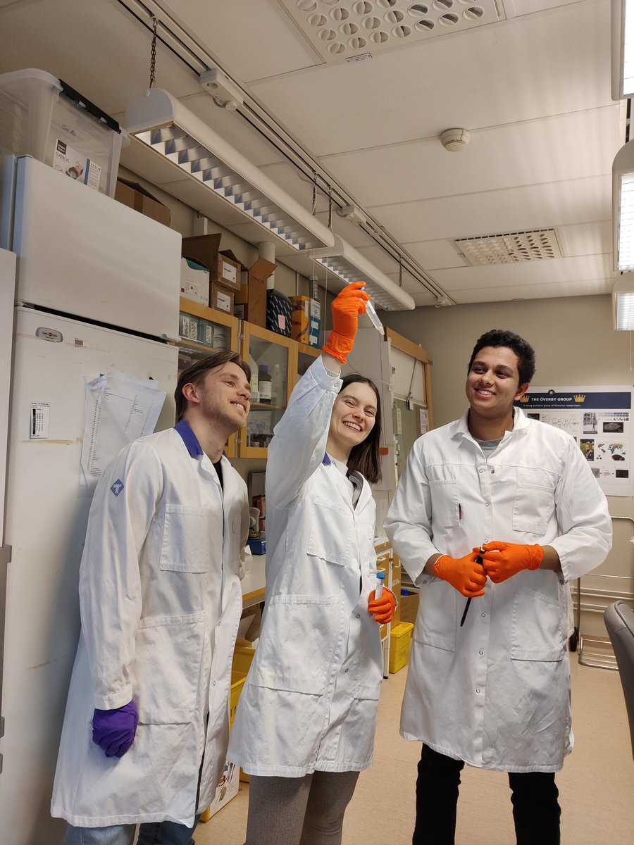 #NewStudentAlert this week Filip Dahnelius started in the lab working with PhD students Amanda and Alfred!