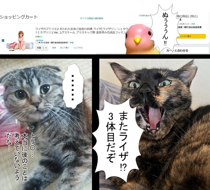 お給料はいったのでライザ買う 