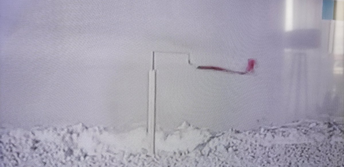 ⚡The flags are horizontal... #biathlon @biathlonantholz ...
