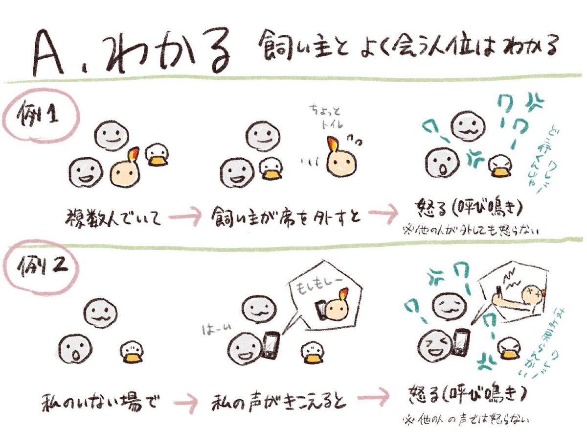 aotoudai's tweet photo. あひるあるある質問に答えました④ https://t.co/zp1GbYWXIE