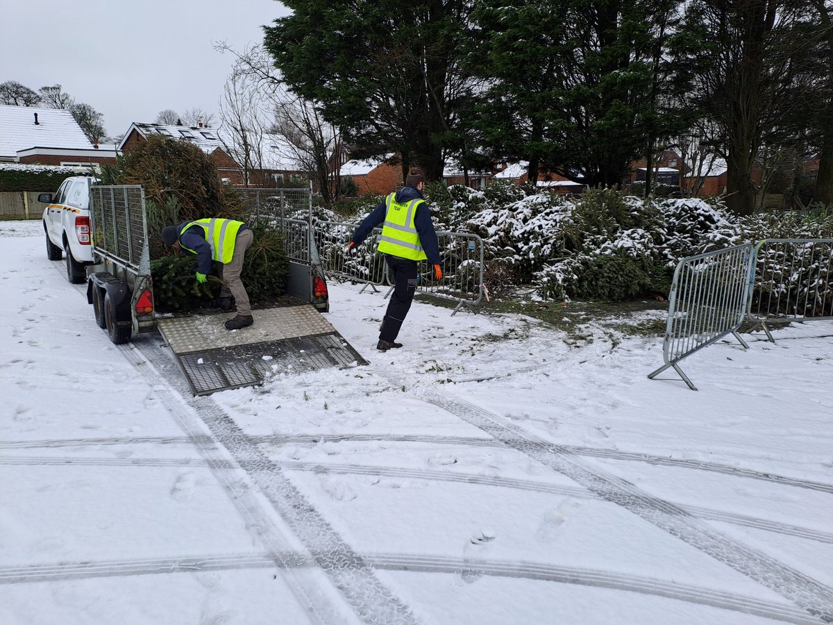This week we have been out in all weathers collecting Christmas trees for our colleagues @FyldeSandDunes for their upcoming Christmas tree planting event. The near 300 trees we have collected from Kirkham and Elswick will contribute towards sand dune growth on St.Annes beach 🌲