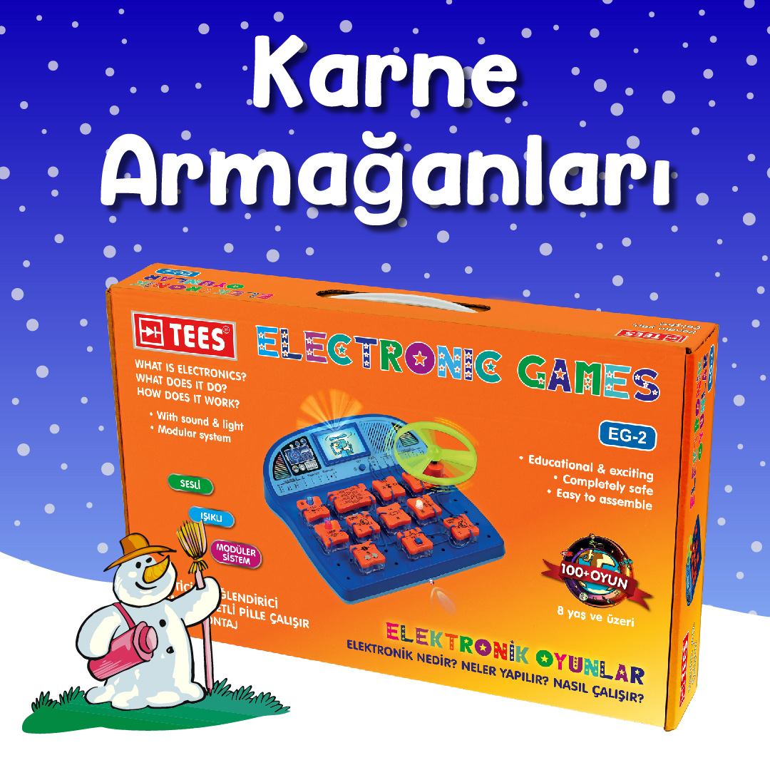 TEES Elektronik Grup tweet media