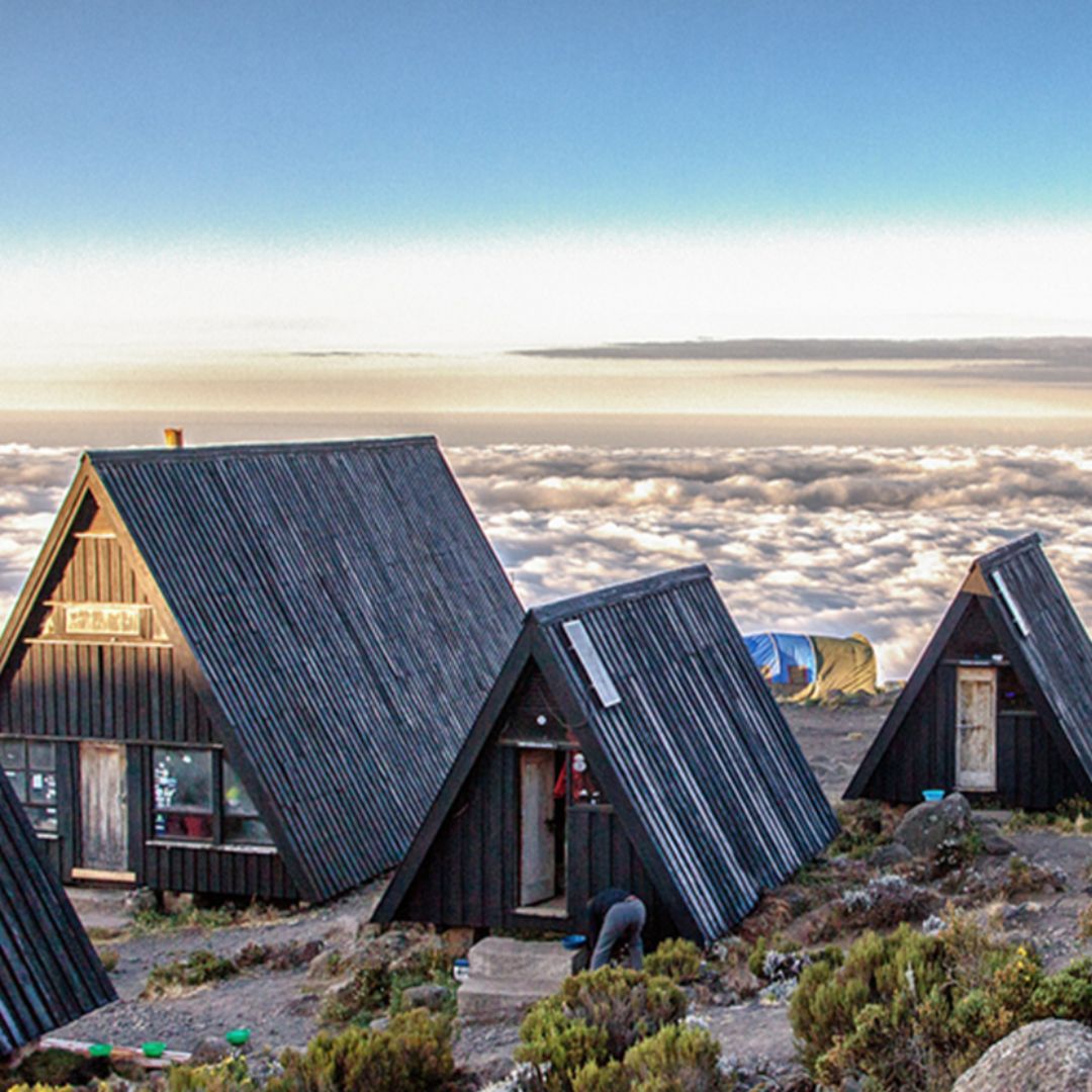 The Marangu Route is considered one of the easier routes up Kilimanjaro, making it a popular choice for trekkers. 

visit us @ lifetimesafaristz.com/7-days-kiliman… 

#tanzania #tanzaniasafaris #kilimanjaro #kilimanjaroclimb #kilimanjarotrekking #kilimanjaro #climbing #trekking #trekkers