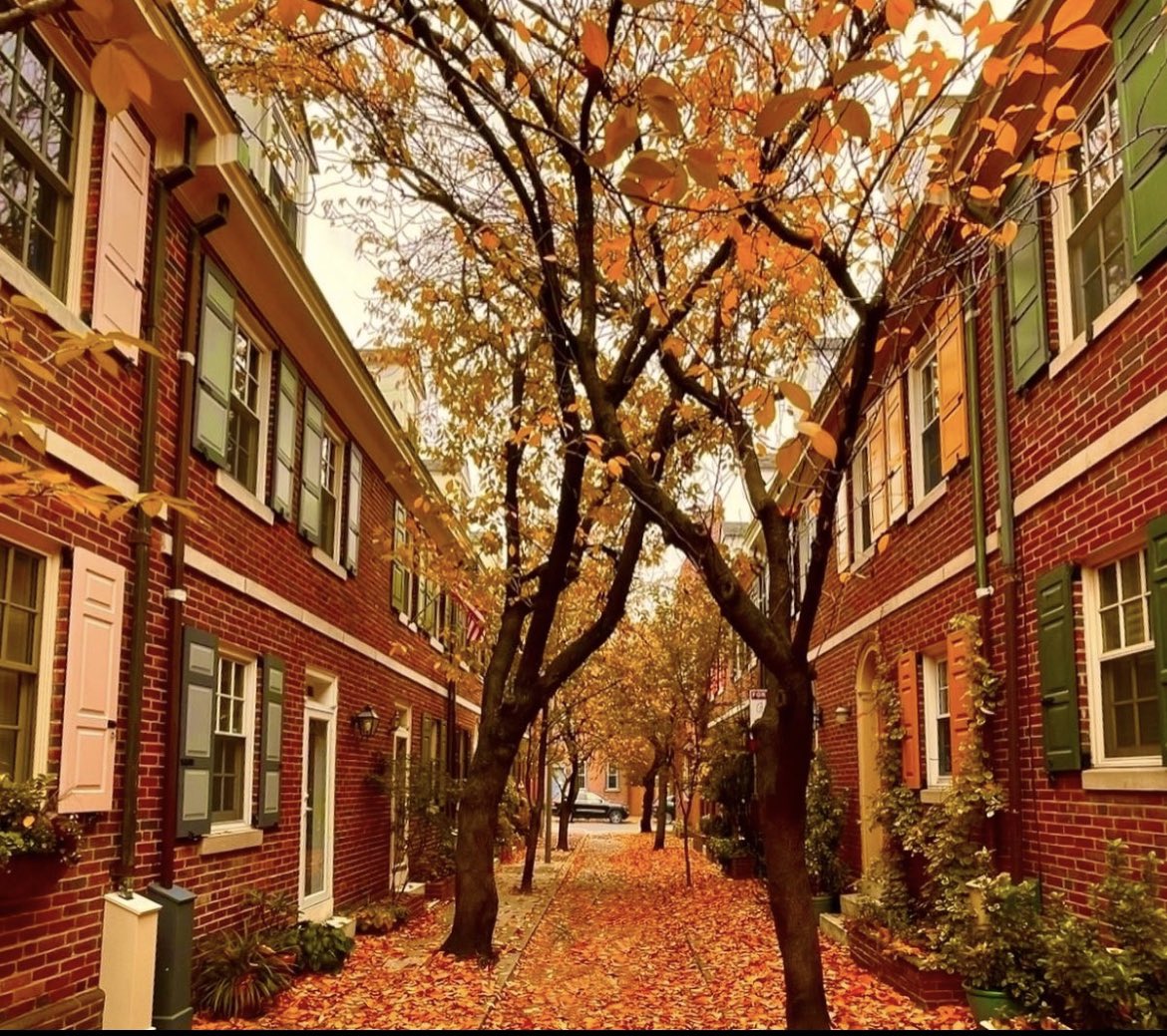 ProfDuff's tweet photo. The four seasons of Jessup Street, Philadelphia. https://t.co/NGemnw3VmE