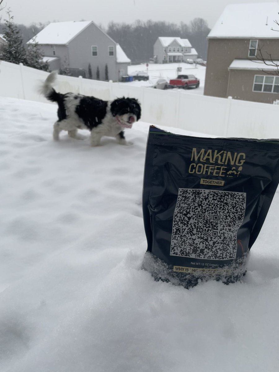 GM GM! MORE white shit! May not be fancy like <a href="/ChrisJourdan/">Captain Zwingli 🍌🎙️</a> with my <a href="/Making_Coffee_/">B R E W B L O C K 🧱</a> but sure looks good here! Make sure to grab a cup ☕️
Sign up and scoop a bag here! 🫱🏽‍🫲🏾☕️ 

makingcoffee.com/?code=u6uXCBii…