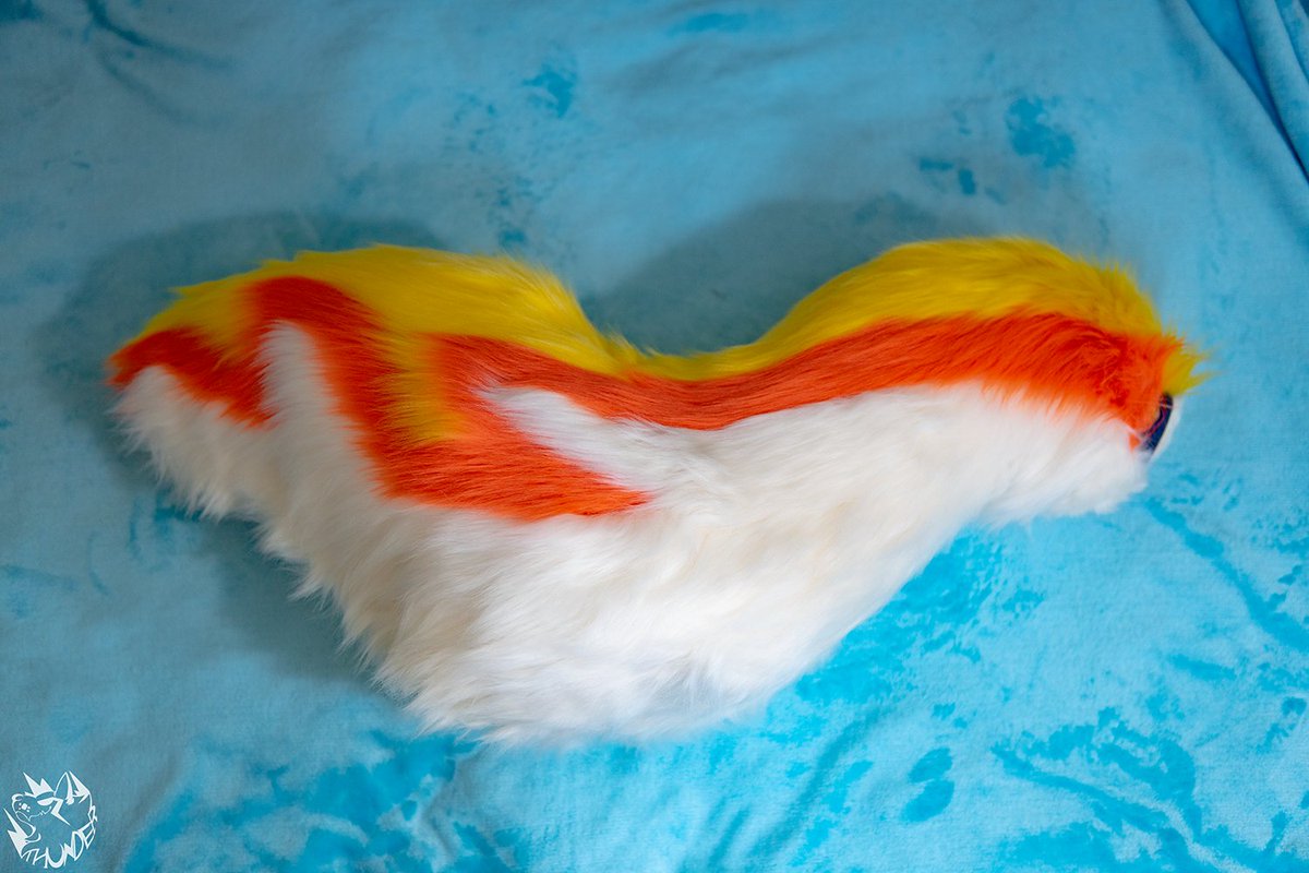 bfwf29937's tweet photo. hand and tail https://t.co/7wqSEl4Fpp