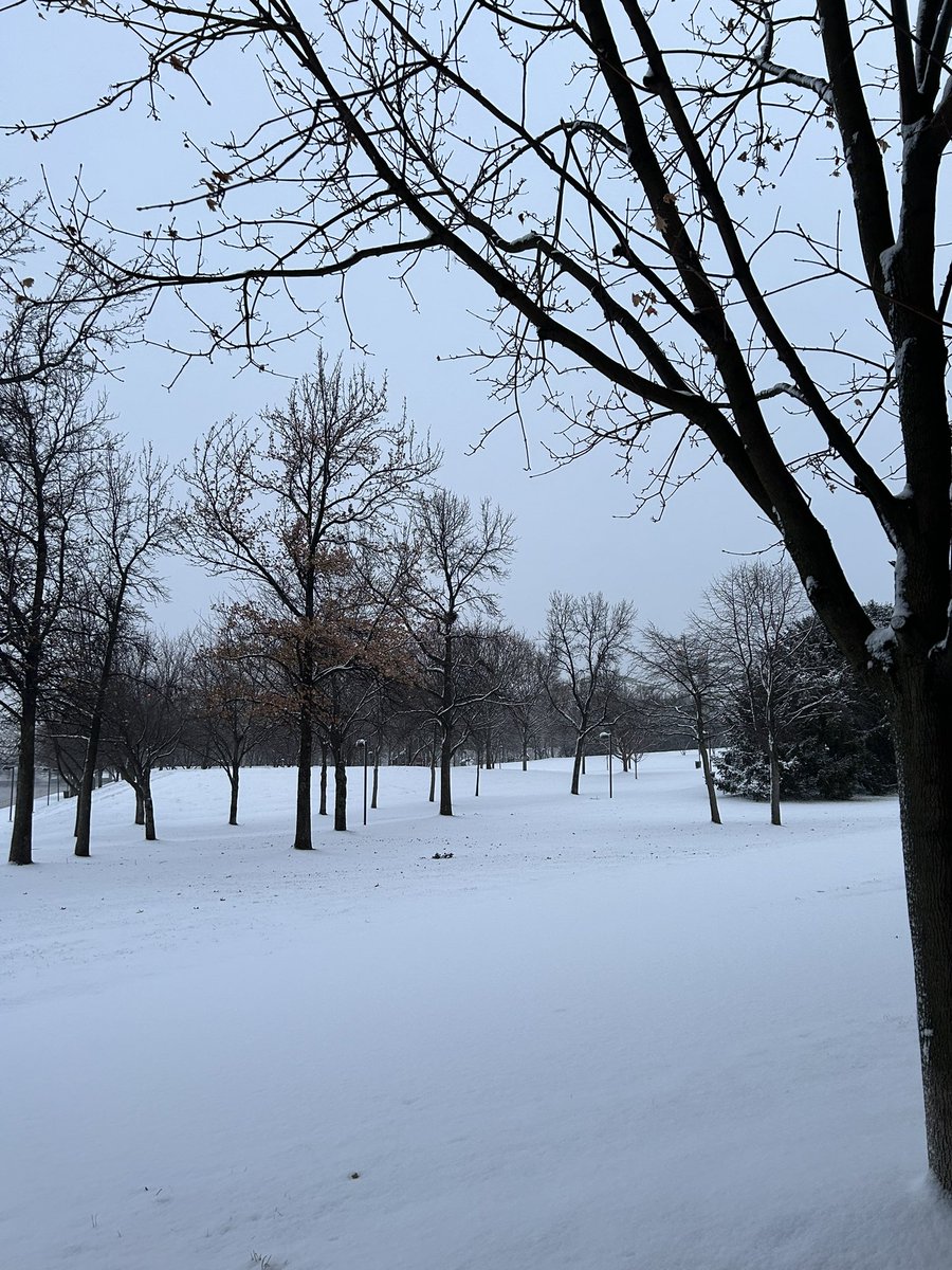 Sam Gabrielli tweet media