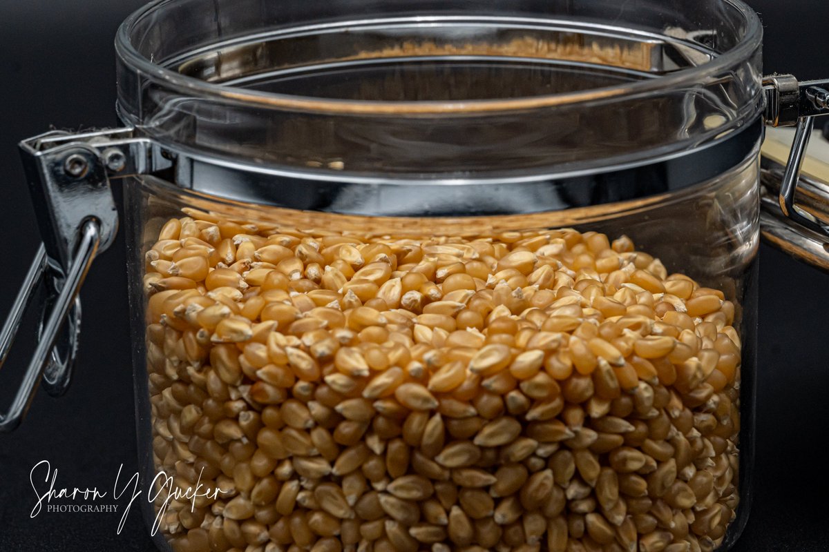 sygdesigns's tweet photo. Popcorn kernels
#macrophotography #macrofood #foodphotography #closeupphotography #closeup #popcorn #popcornkernels #foodanddrink #foodfriday #foodcloseup #randomthings #macrofun #funpics #ThePhotoHour  #jarofstuff #lightboxphotography #photography #nikonphotographer #zcreators https://t.co/Hd7NwK9Sfm