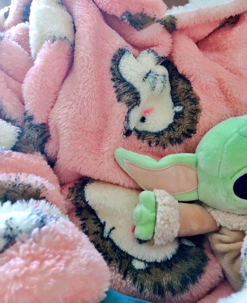 Banananases's tweet photo. Een dag van de primeuren: een snuggie gekocht (die doe ik nooit meer uit 😍) en koolrabi gemaakt, geproefd en in de prullenbak geknikkerd, getverpiellekes 🤢. Zijn er groentes die jij nog nooit gegeten hebt? Koolrabi blijft voor mij een once in a lifetime 🤣 #koolrabi #snuggie https://t.co/0zUmCRidgH