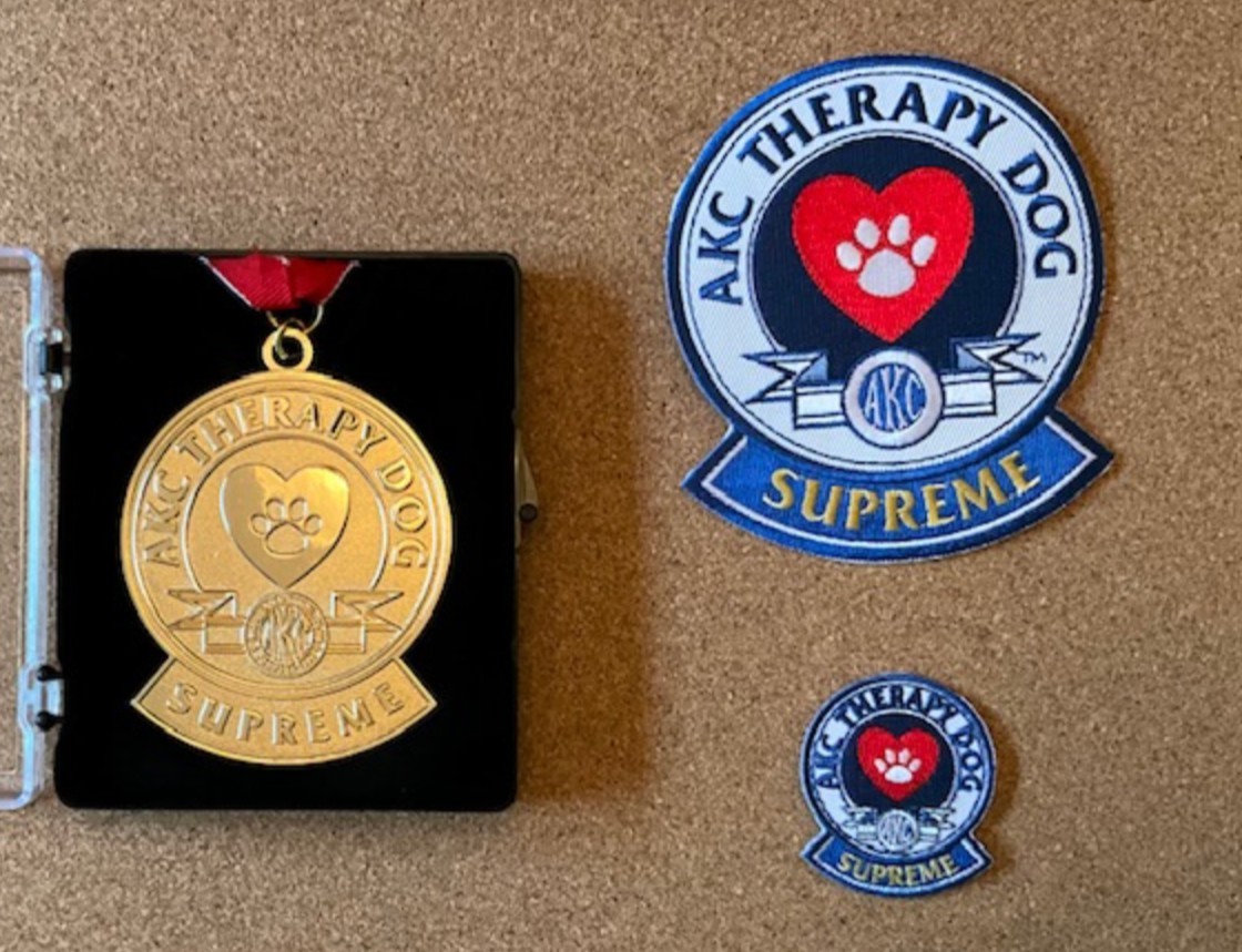 Put your paws together for this dynamic duo! 🐶 👏  #TherapyDog Ray and his owner Bill just recently earned the designation of #AmericanKennelClub Therapy Dog SUPREME! 🏆 Thank you both for your service to our patients, staff and community. ❤️ #WeAreStonyBrookMedicine