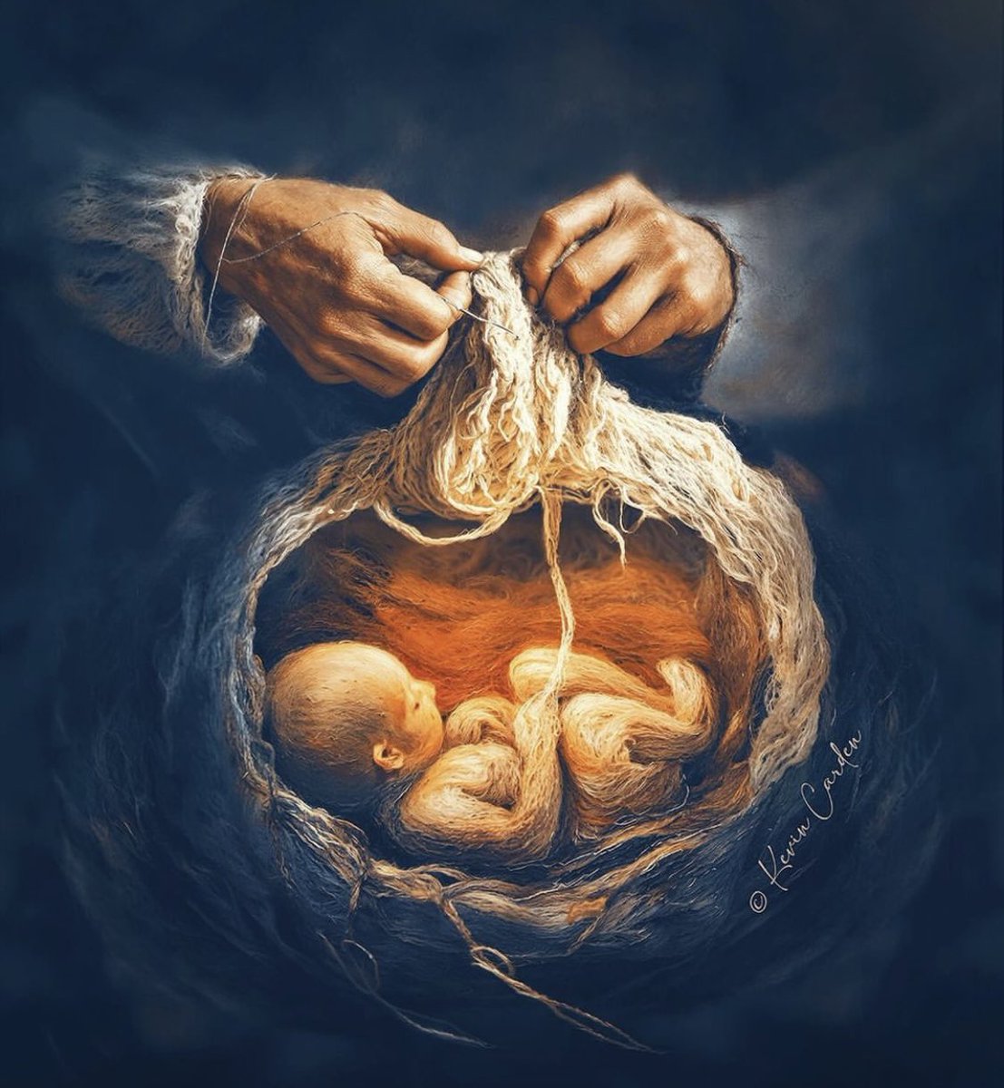 fernandoBiblia's tweet photo. “T�� formaste mis entrañas;
Tú me hiciste en el vientre de mi madre.”

—Salmo 139, 13 https://t.co/6icANBYRX6