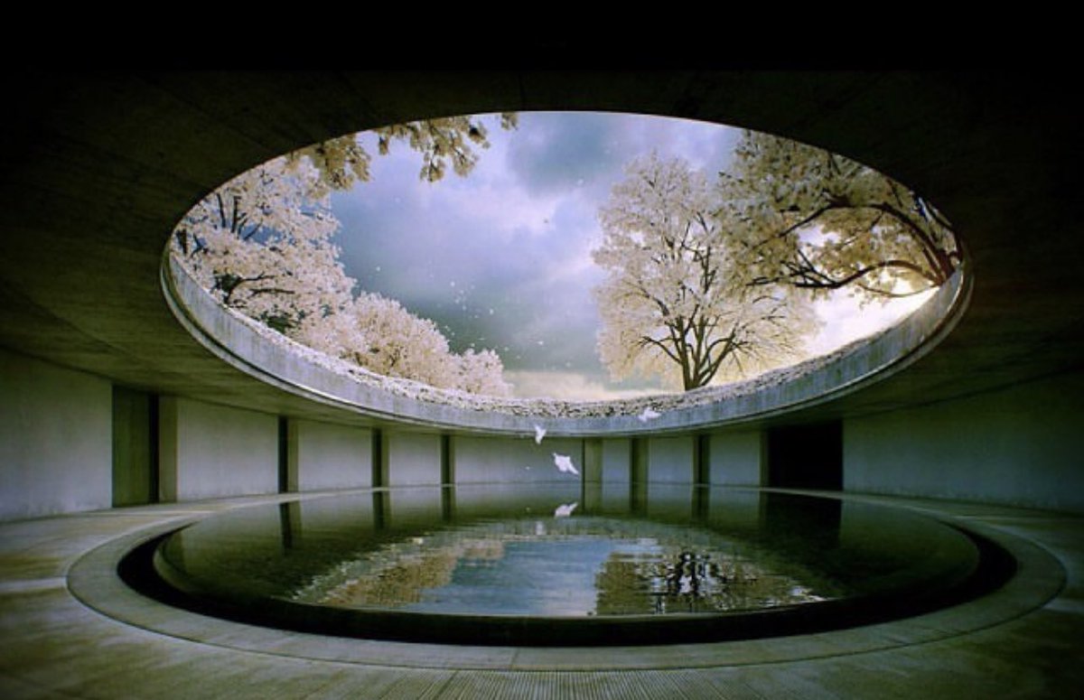 the oval, naoshima island, japan, designed by architect tadao ando