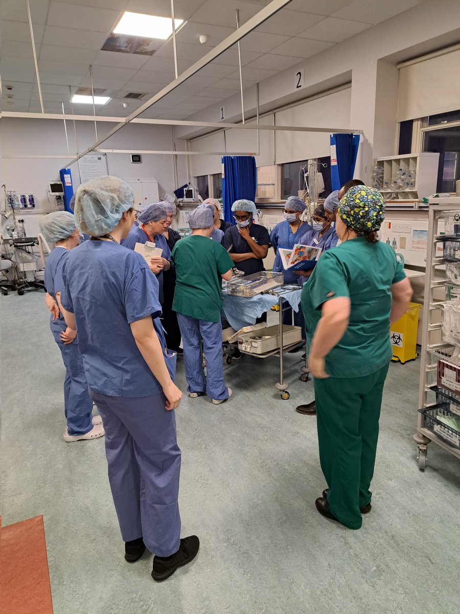 annmariemc2's tweet photo. This mornings skills and drills sessions, orthopaedic and urology set ups. Knowledge sharing and problem solving together. @maureenmcgourty #teamSUH #teamperiop #operatingtheatre https://t.co/Je3vMVjz3x