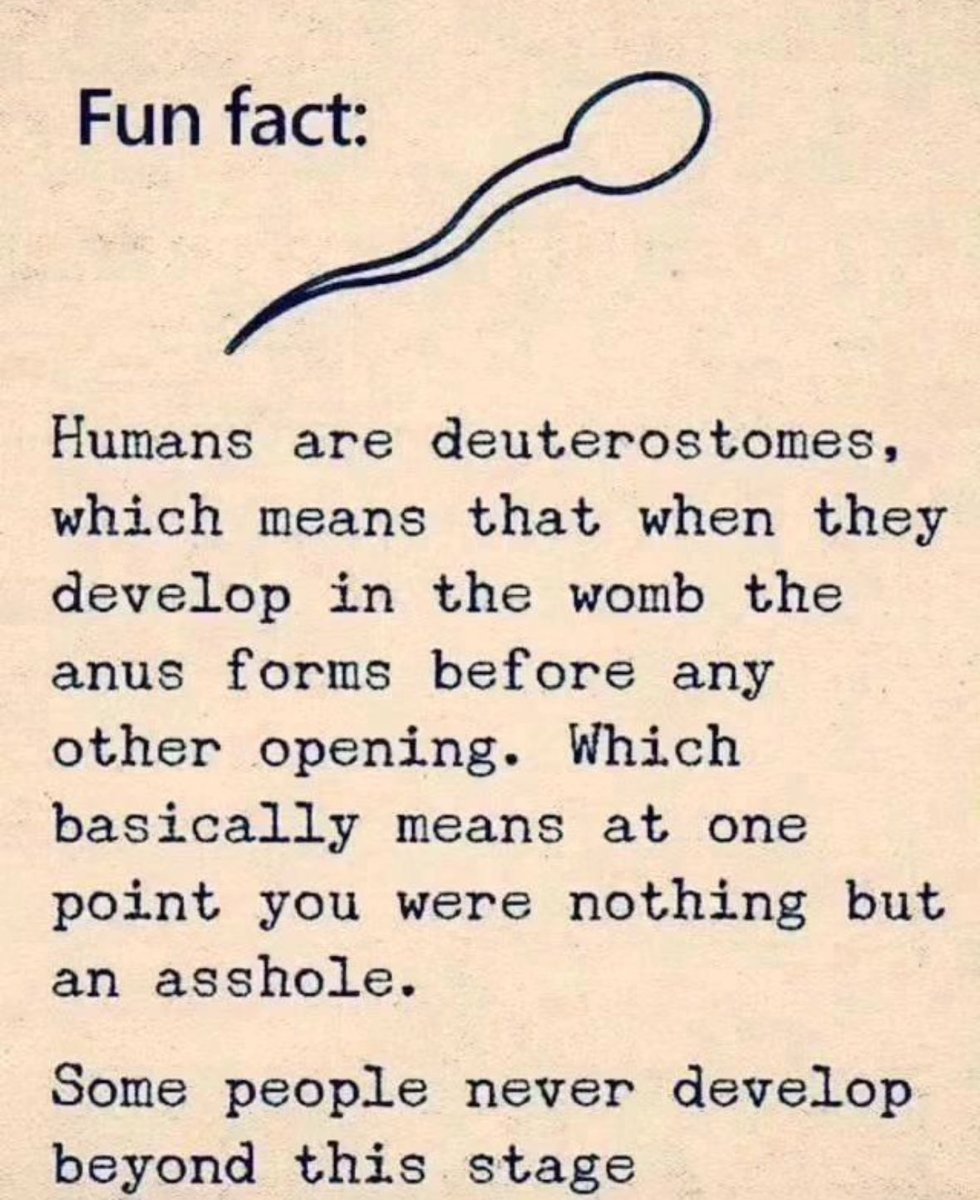 MichaelCohen212's tweet photo. Many very smart people have asked meโฆ
Question: Michael: you know Donald Von ShitzInPantz better than anyone. Why does he act like such an asshole all the time? Answer: He is a perpetual deuterostomes. https://t.co/a1W2Ywetp2