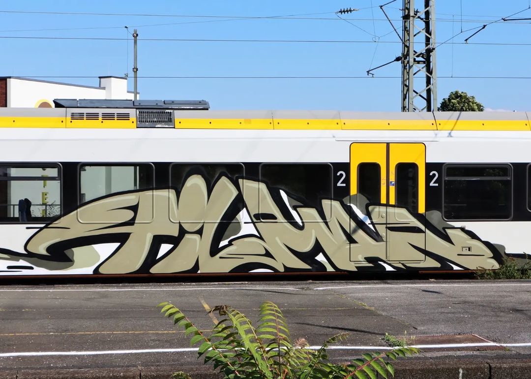 TILMAN 💥

Via fankyzine #graffiti #graff #trainwriting #traingraffiti #trainbombing #trainwriter #writer #graffitiwriter #graffitiontrains #paintedtrains #graffitiwriting