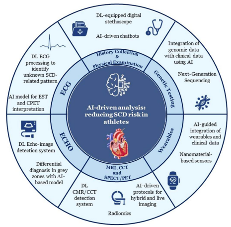 🏃‍♂️#AI #ArtificialIntelligence in #sportscardiology may help in: 🫀differential diagnosis 🫀EST & CPET interpretation 🫀#whyCMR protocols 🫀data integration & more...Here our review on the topic👉doi.org/10.1093/eurjpc… #EJPC #athletes @m_piepoli @OxfordJournals @EAPCPresident