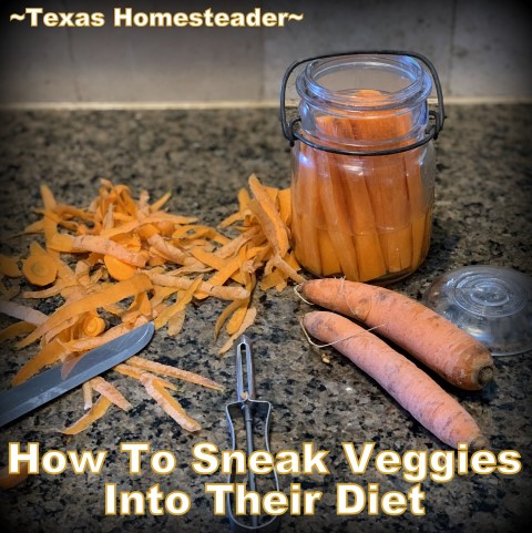 Tx_Homesteader's tweet photo. You want your family to eat healthy, but how do you get them to voluntarily eat and actually enjoy more healthy vegetables? Check out this brilliant tip! https://t.co/z9wpZLap0K 
.
.
#TexasHomesteader #EatHealthy #Vegetables #HomesteadHack https://t.co/AmWMXlR0NR