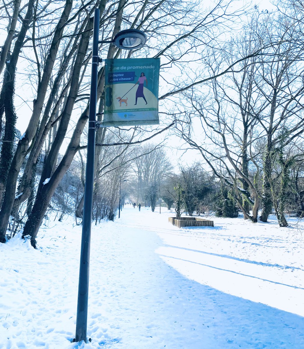 Chris_Brussels's tweet photo. Does this still pass as a fingerpost? 😉
#FingerpostFriday #photography #Woluwe #PromenadeVerte #Bruxelles #Brussel #Brussels ☃️ 🇧🇪 🇪🇺 https://t.co/HebEgC9dNK