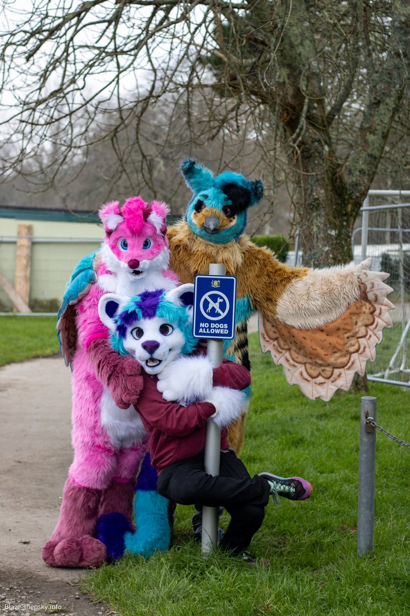 Cornwall_Furs's tweet photo. Happy #FursuitFriday to everyone
Looking forward to the next meet in February, details to come soon!
#CornwallFurs #furry #fursuit #cornwall https://t.co/jxWzDWXSPw