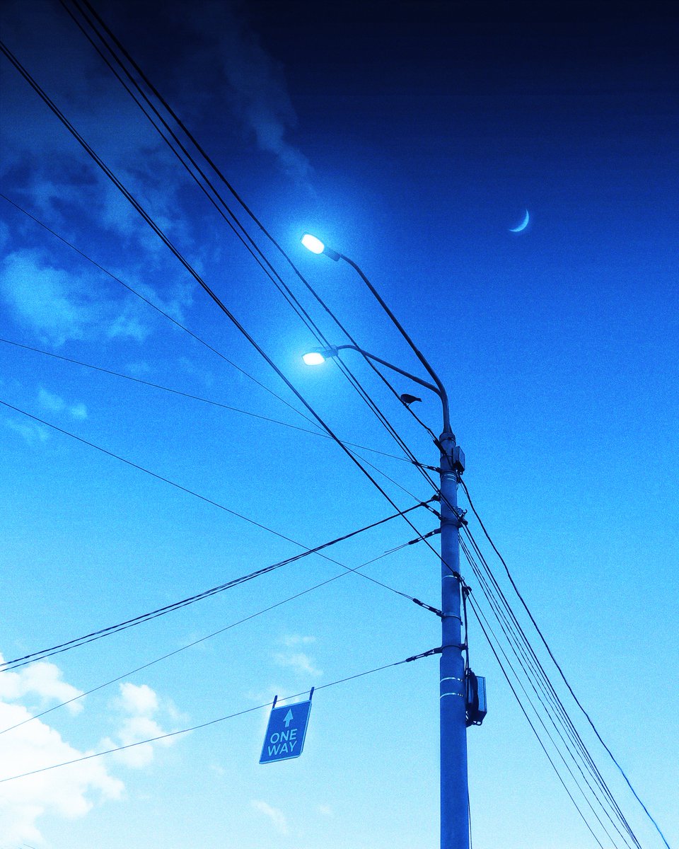 bluenoize.eth tweet media