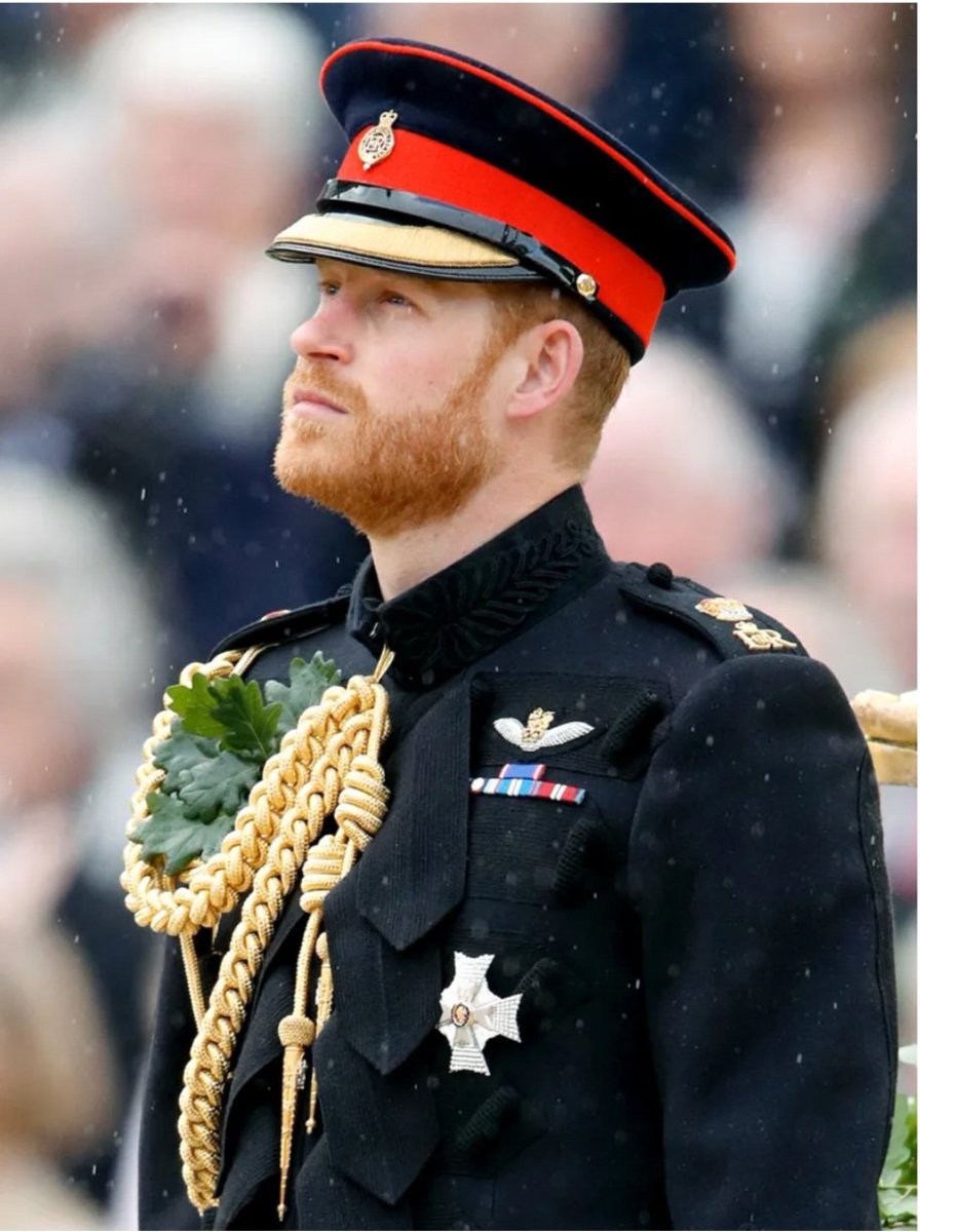 l_de_duchess's tweet photo. Today  19/01/2024  in history HIS ROYAL HIGHNESS  prince harry ,the Duke of sussex is inducted as a living legend of aviation#livinglegend #LivingLegendsOfAviation https://t.co/5ZJz1XLhVR