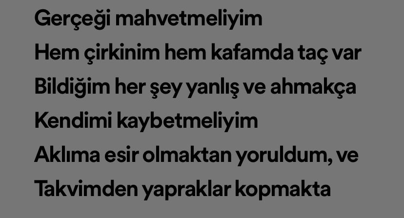 Müge Bayramoğlu tweet media