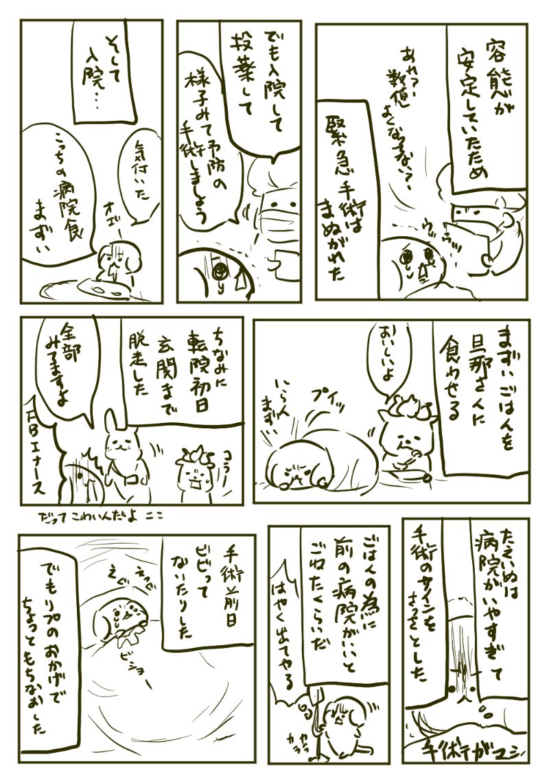 唐突な入院と、病院食の大事さと、たまたま申請してた医療限度額認定証が役に立った入院生活。しかし転院したり月またぐと医療費は高くなる。医療保険の大事さを感じた。みんなも念のため入っておこうね。