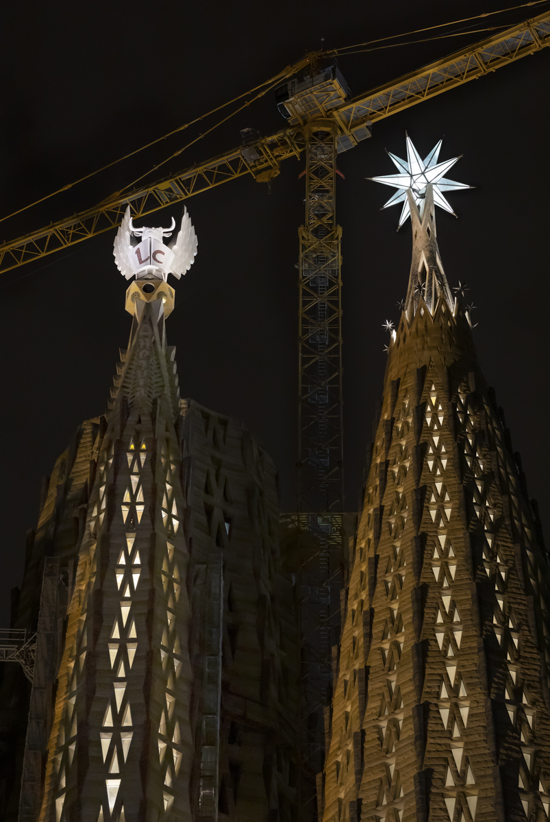 Marcela Grassi tweet media