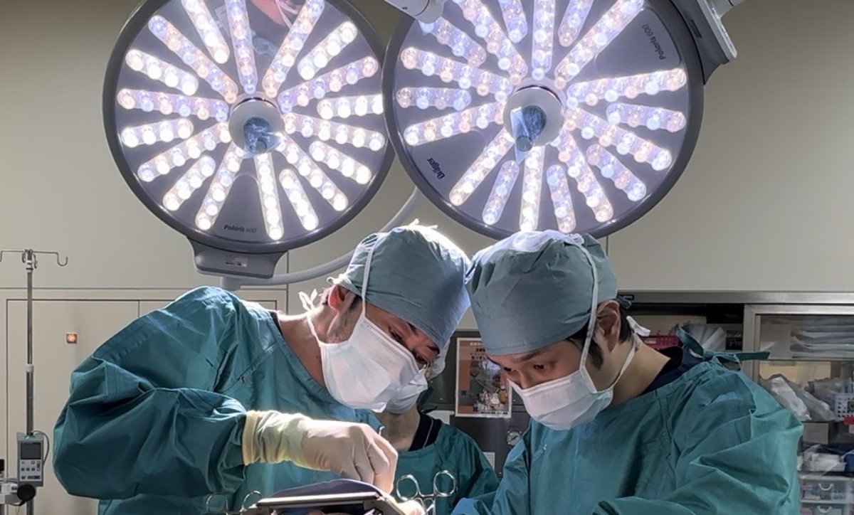 Tokyo Women's Medical Functional Neurosurgery tweet media