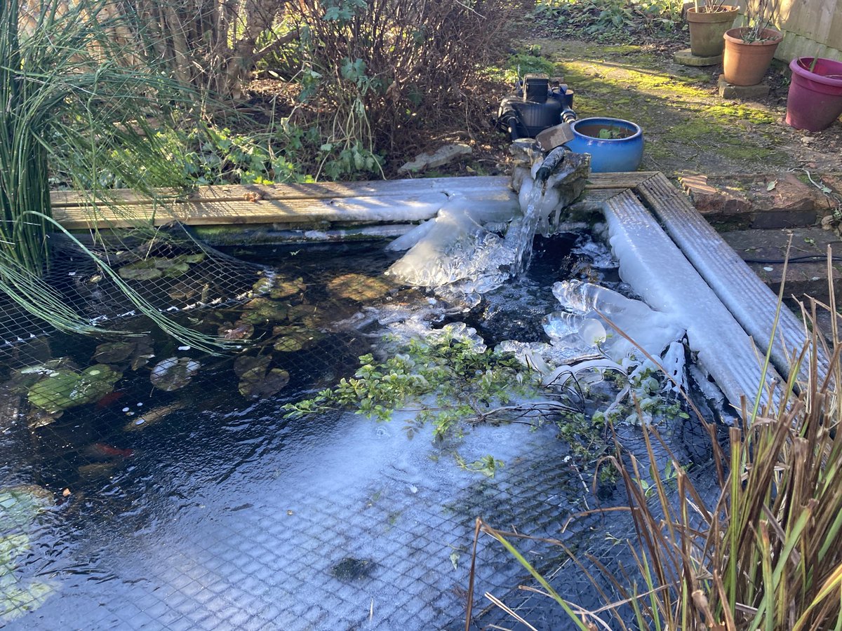 🧊🧊🧊🧊🧊🧊🧊 Wow! David Attenborough could film Frozen Planet on our pond. Awaiting camera team and obligatory polar bear …