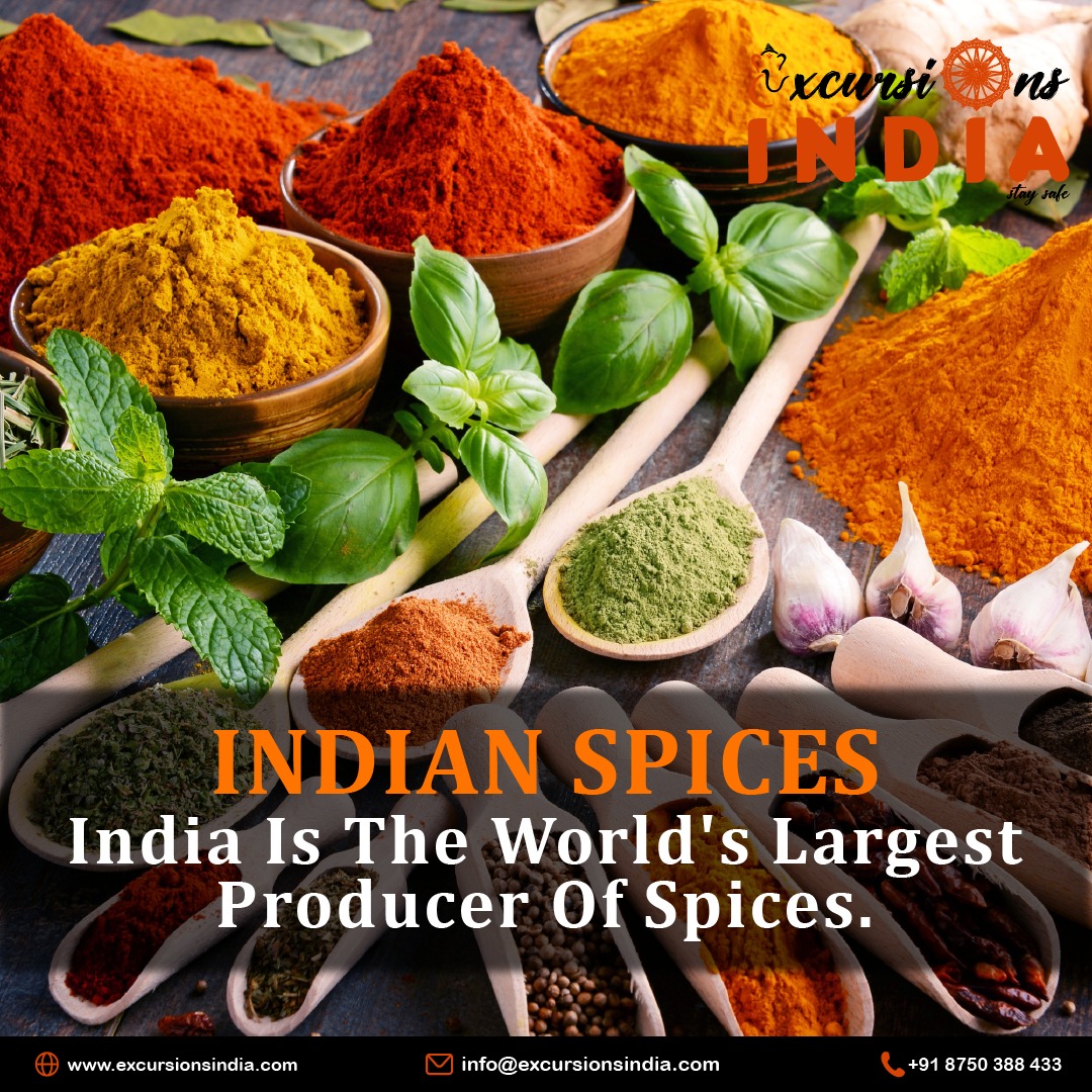 ExcursionsIndia's tweet photo. Experience the vibrant flavors of India with our exquisite blend of aromatic spices. Elevate your culinary journey with authenticity and taste!
#excursions #excursionsindia #travellife #travelling #travelgoals #tourism #tourlife #spicestore #spicesforlife #spicesofindia https://t.co/WeAiNkdIYp