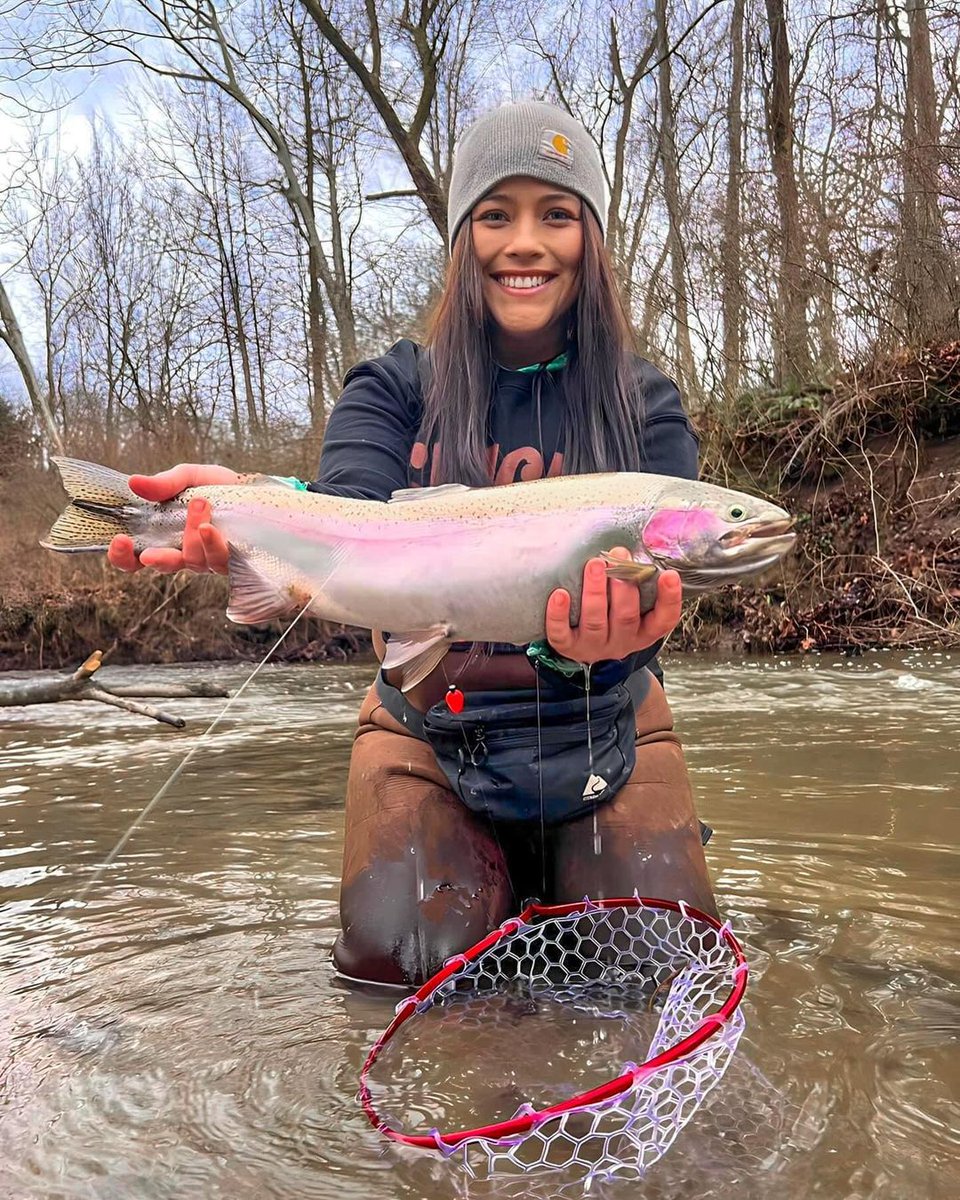 86Ali3's tweet image. Name the fish! 
#fishing #fishinglife