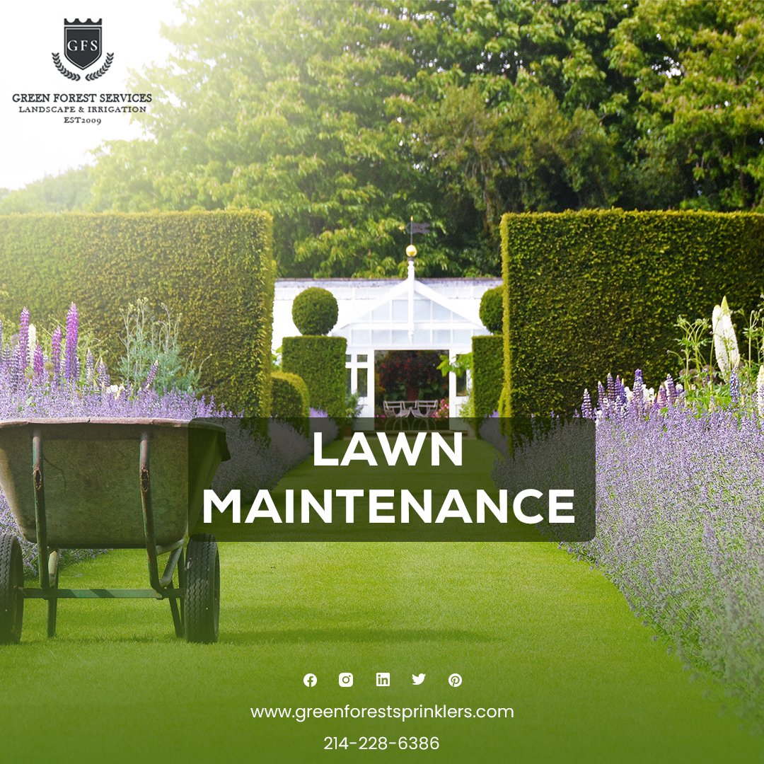 🌿🏡 Keep Your #Lawn Lush with #GreenForestSprinklers! 💧🍃
We specialise in keeping your lawns green, healthy, and beautiful. Our #lawnmaintenance services ensure every blade of grass is perfectly cared for. 🌱✂️
👉 greenforestsprinklers.com/lawn-maintenan… 
#ProfessionalLandscapingService