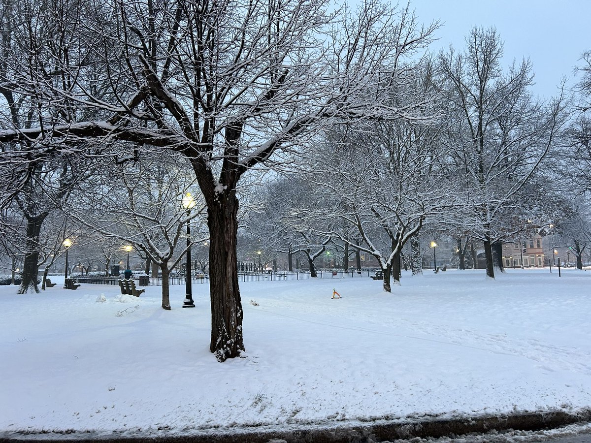 MarkBatterson's tweet image. O, what a beautiful morning! I couldn’t stop taking pictures on my way across Capitol Hill. Feels like Narnia! PS. Revival is on like donkey Kong, but drive careful. @DrAnitaPhillips in the house tonight! 7 PM @NCC @CapTurnaround
