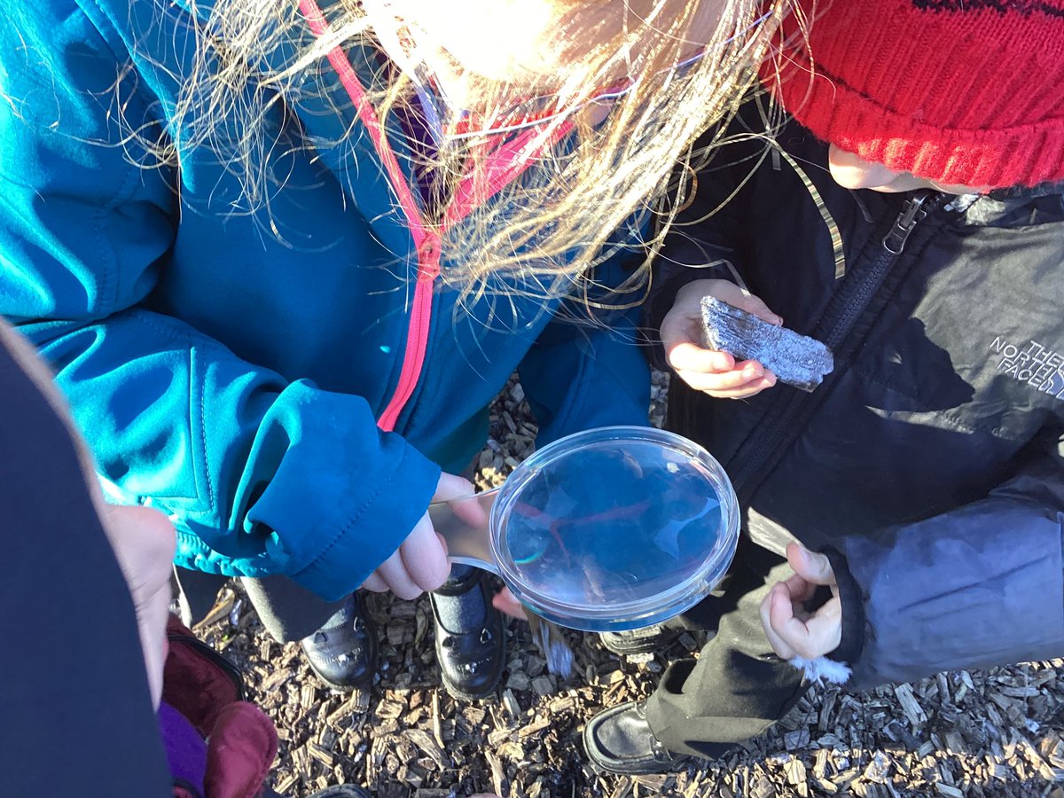TadPrimaryAcad's tweet photo. Jupiter team explored seasonal changes and recognised the signs of winter. #TadcasterScience @eboractrust https://t.co/lpM1rPNMAs