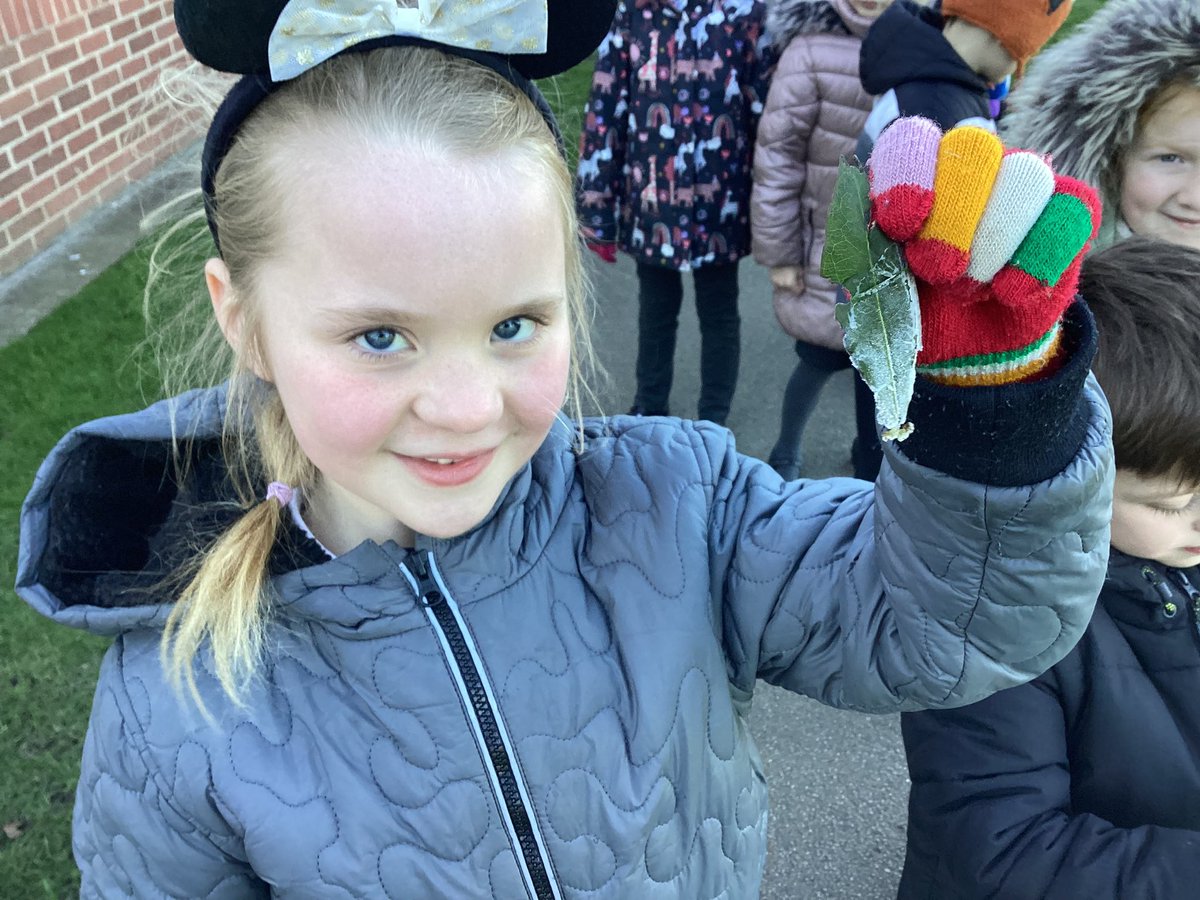 TadPrimaryAcad's tweet photo. Jupiter team explored seasonal changes and recognised the signs of winter. #TadcasterScience @eboractrust https://t.co/lpM1rPNMAs