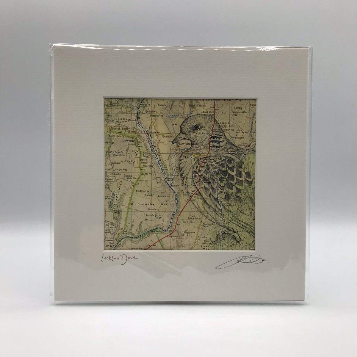 jennywrendraws's tweet image. Admittedly It’s a long shot, but I’m hoping someone might want to buy my prize winning #doodleadove so I can donate  the ££ to @north_dove. It’s on the website now. Thanks again too @LeicaBirding @IoloWilliams2 for a great event last week. jennywrendraws.com/shop/ols/produ…