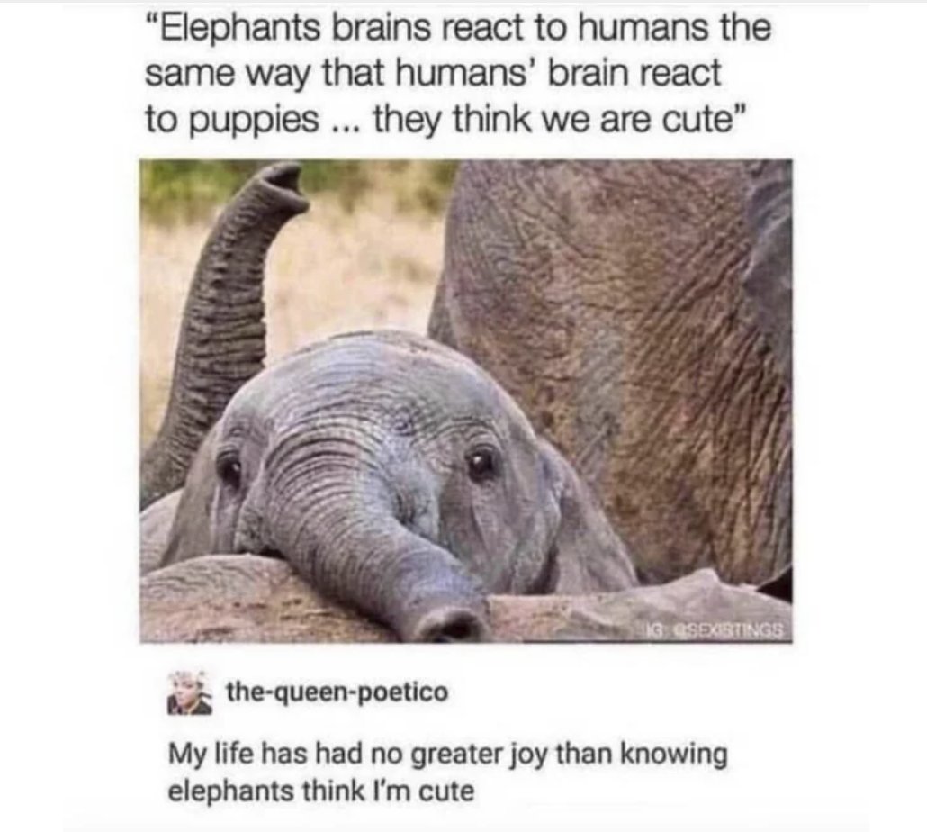 RespectfulMemes's tweet photo. https://t.co/kr0biqZI8V