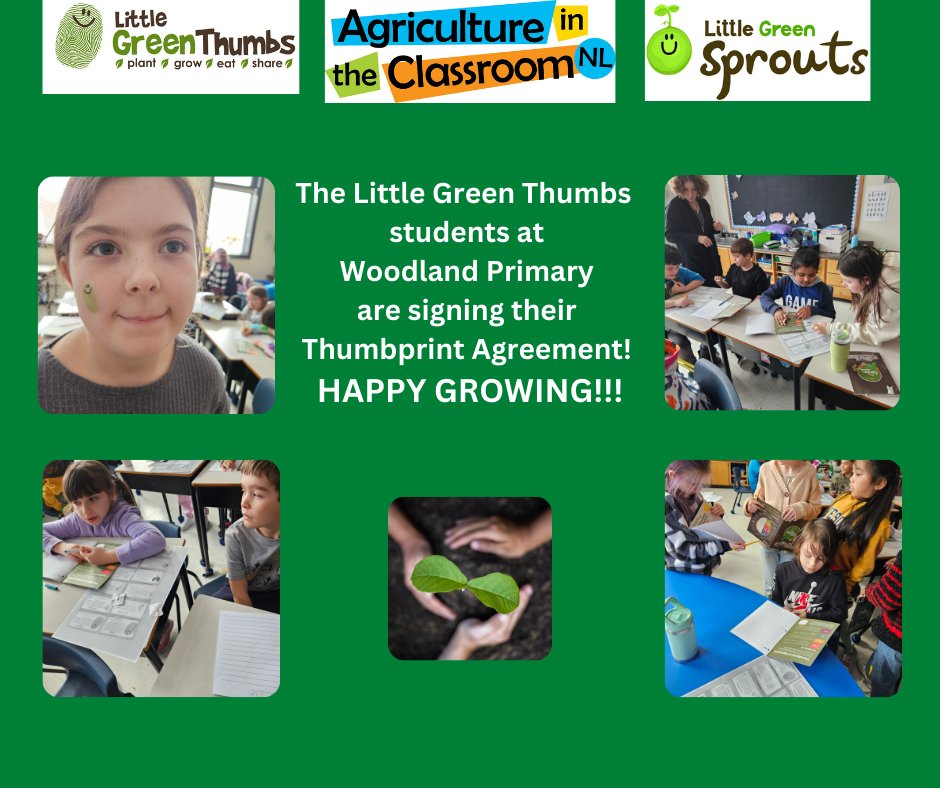Maureen Foley (@lgtmaureen) on Twitter photo Good luck to Woodland Primary as they start their <a href="/littlegrnthumbs/">Little Green Thumbs</a> journey! <a href="/AITCCanada/">AITCCanada</a> <a href="/AITCNL/">Agriculture in the Classroom NL</a> <a href="/NLSchoolsCA/">NLSchools</a> Good luck to Woodland Primary as they start their <a href="/littlegrnthumbs/">Little Green Thumbs</a> journey! <a href="/AITCCanada/">AITCCanada</a> <a href="/AITCNL/">Agriculture in the Classroom NL</a> <a href="/NLSchoolsCA/">NLSchools</a>