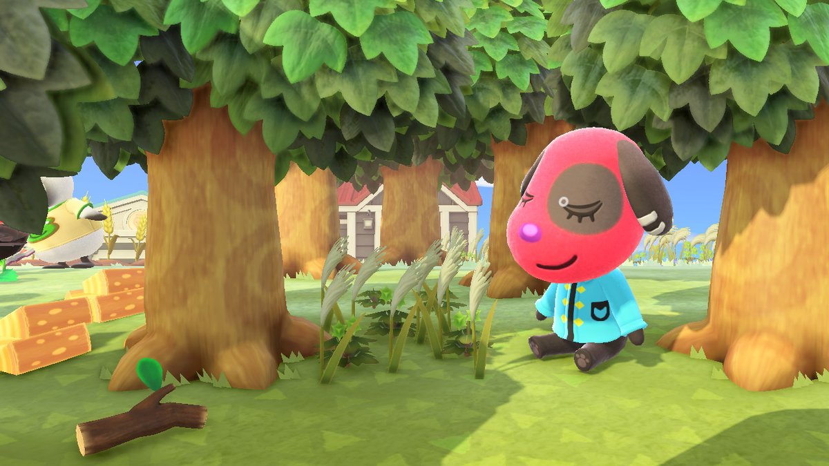 Daniel Sherly and Friends tweet media