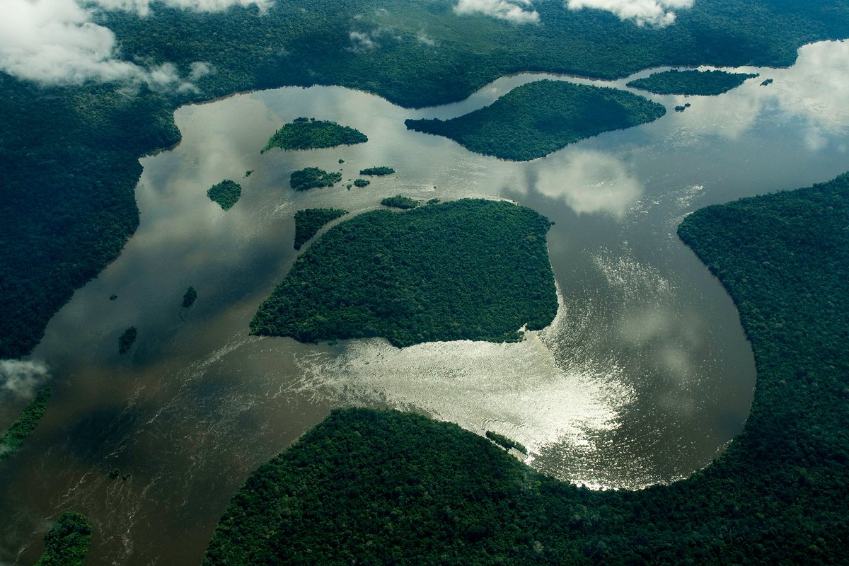 L’horizon s’éclaircit en Amazonie #LEffetPanda 🌎🌱

En 2023, la déforestation dans l’Amazonie brésilienne a diminué de plus de 20%, atteignant son taux le plus bas depuis 2019, ce qui n'est pas malheureusement pas le cas du Cerrado.

bit.ly/3vK5is3