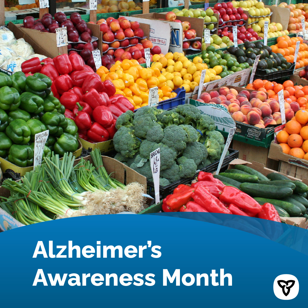 Did you know, eating healthily can fight cognitive decline? Consider reducing processed foods and adding different coloured fruits and vegetables into your diet. Visit @AlzheimerOnt for more healthy eating tips alzheimer.ca/en/about-demen… #AlzheimersAwarenessMonth