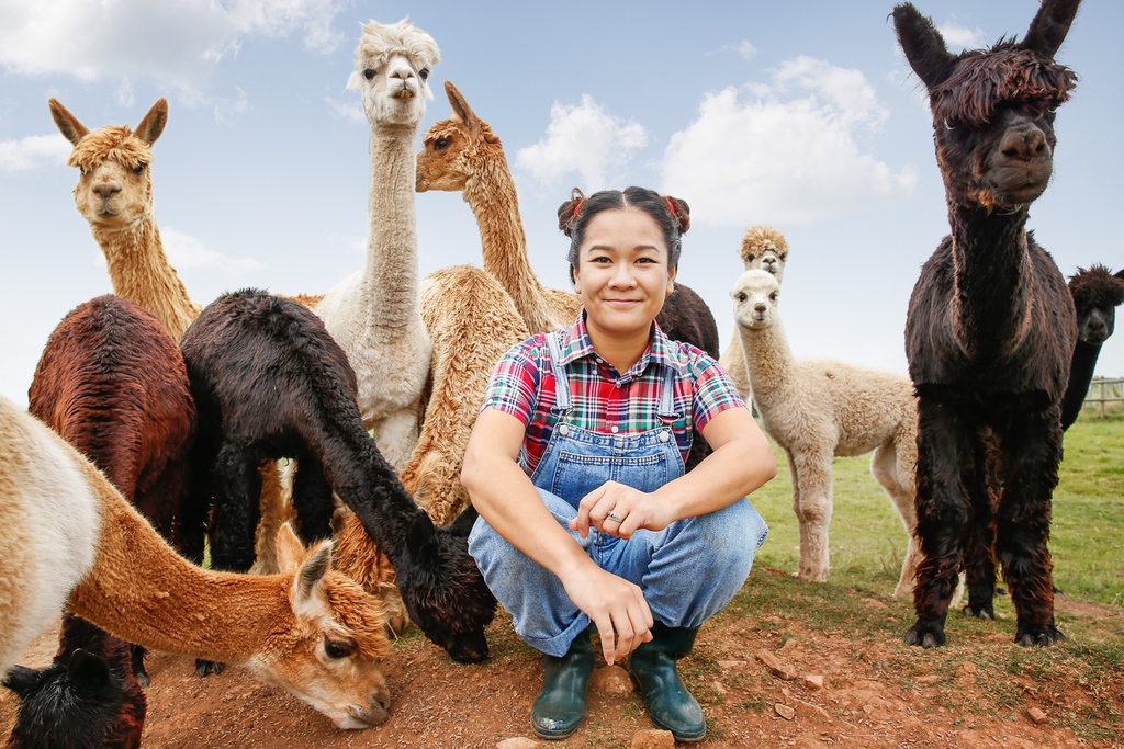 Hungry as Llamas: Portrait shoot at a llama farm. My assistant multitasking—setting up lights, syncing, and fluent in llama language! Assistants are invaluable. 📸🦙
Check out more captivating stories: igoremmerich.com/people 📸 
#BehindTheScenes #PhotographyLife #AssistantMagic